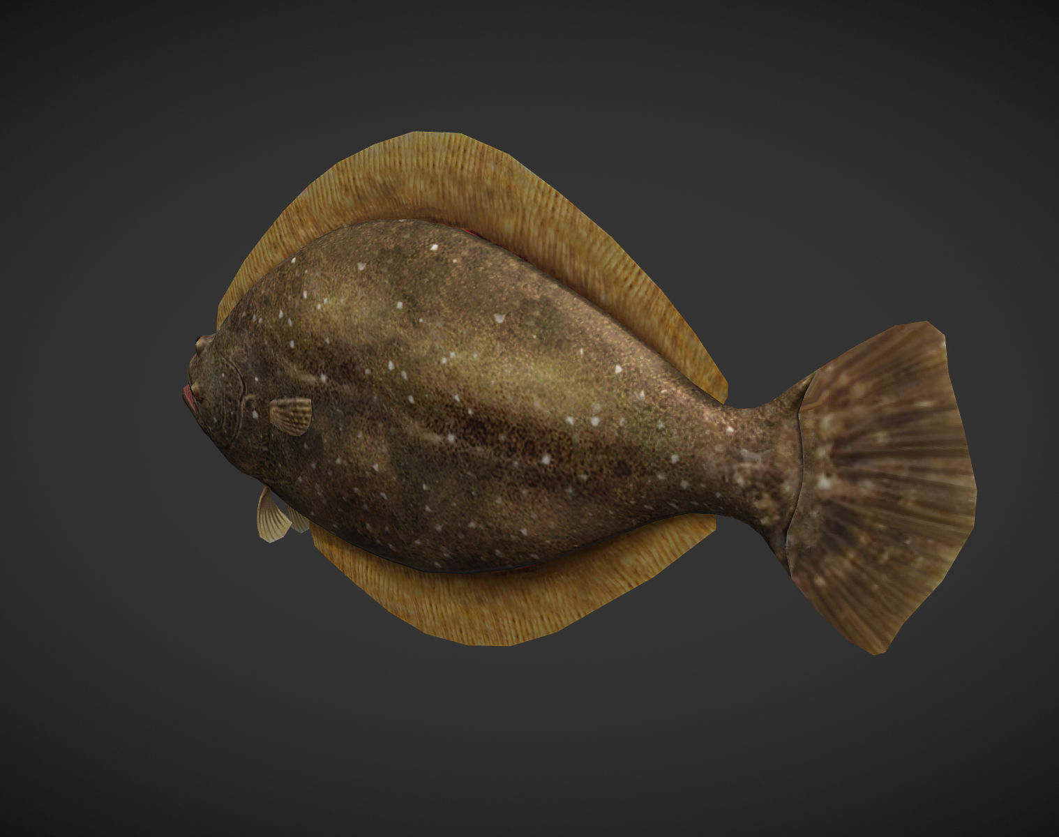 Sea Fish Low-poly 3D model_1