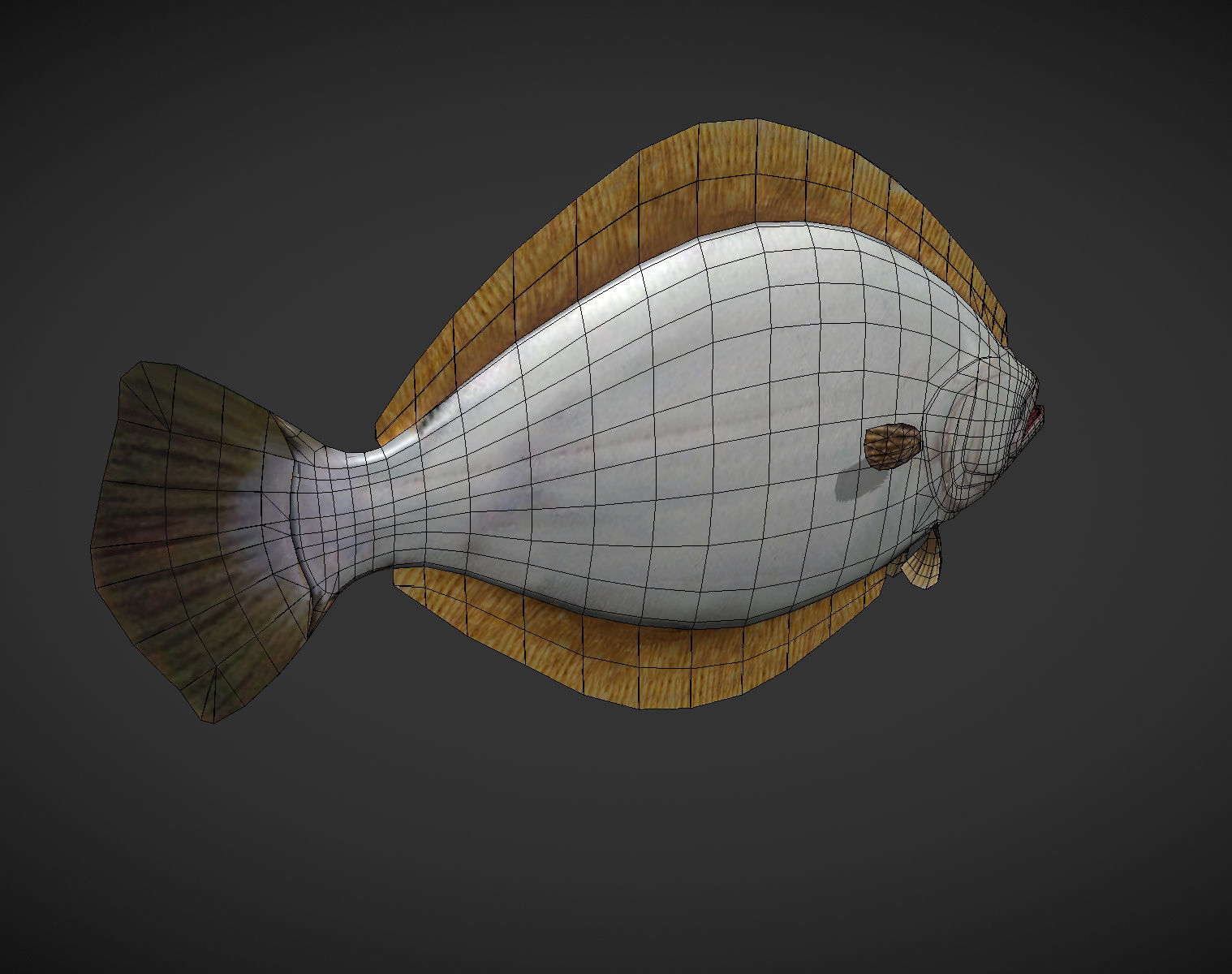 Sea Fish Low-poly 3D model_7