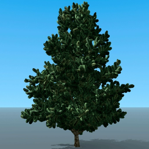 Christmas Scotch Free 3D model