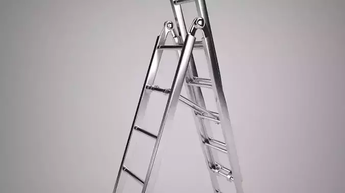 Reform Ladder 3D model