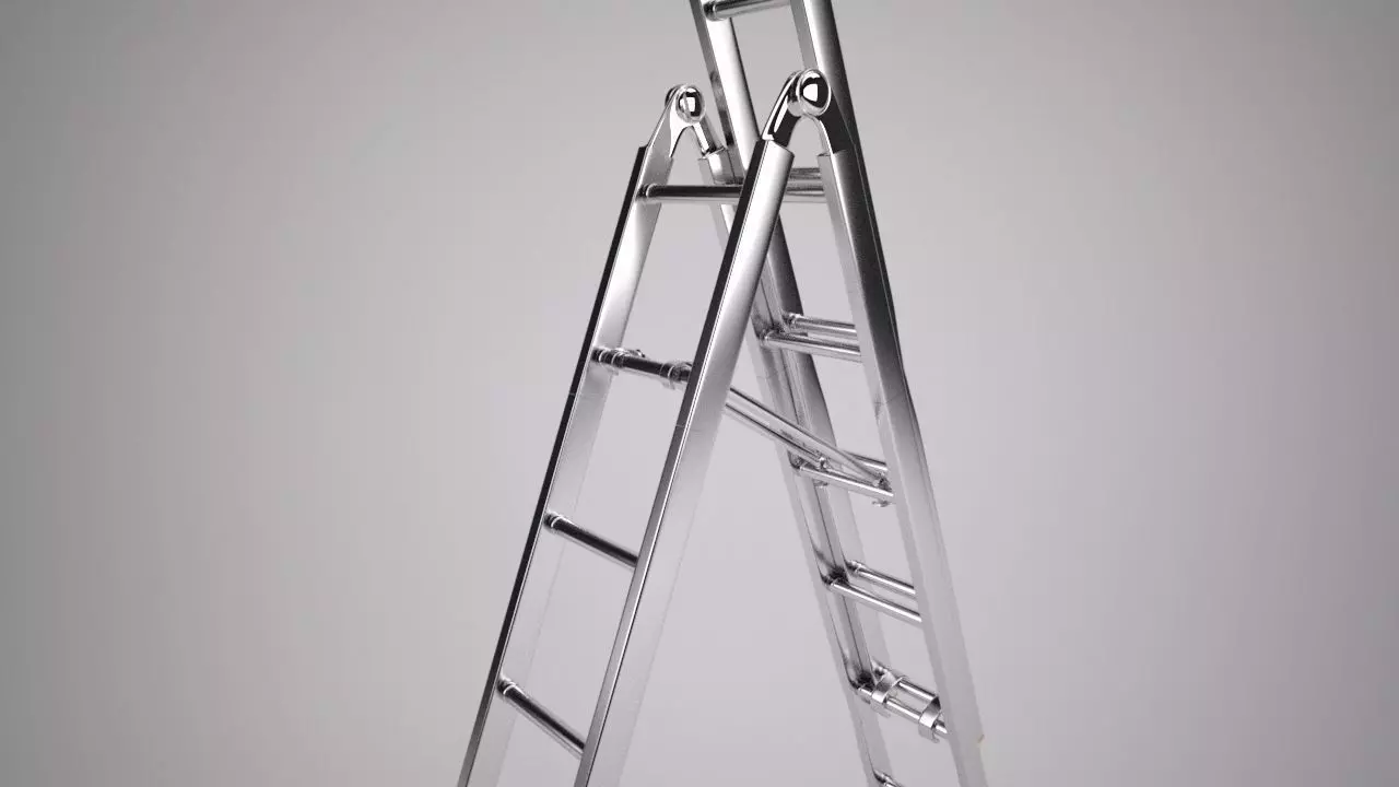 Reform Ladder 3D model_0