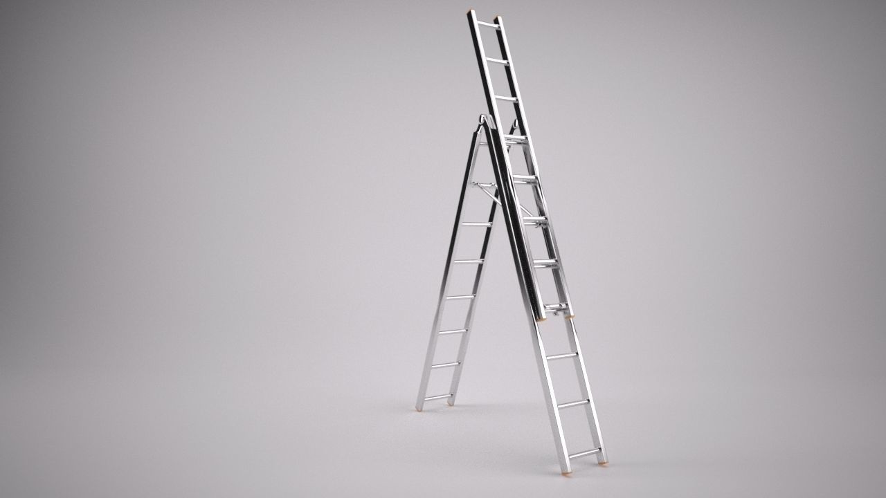 Reform Ladder 3D model_1