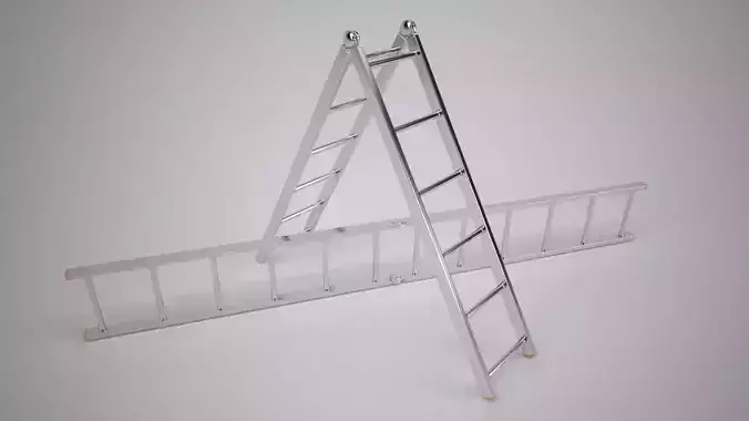 Folding Ladder