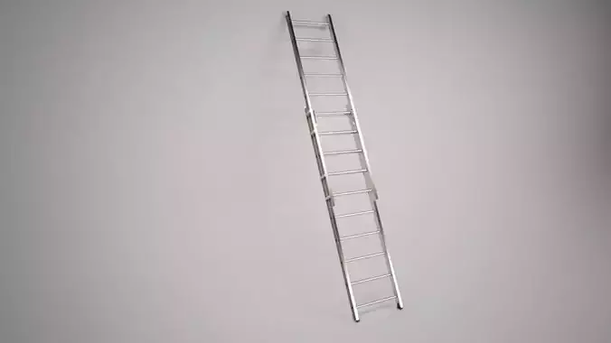 Extending ladder 3D model
