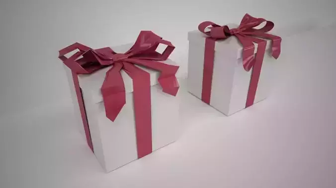 Gift Box with Knotted Bow