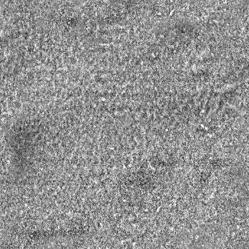 Leather Attach Briefcase Rigged 3D model_10