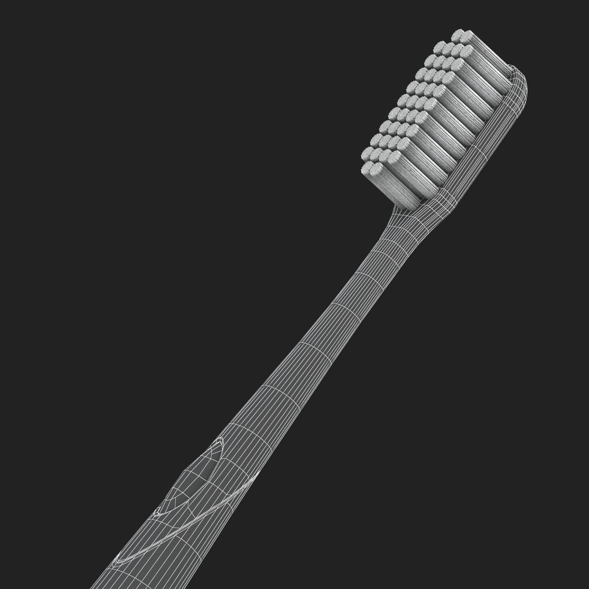 Toothbrush and Case 3D model_20