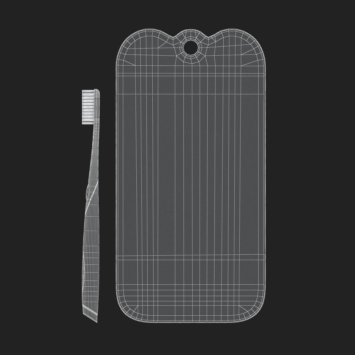 Toothbrush and Case 3D model_16