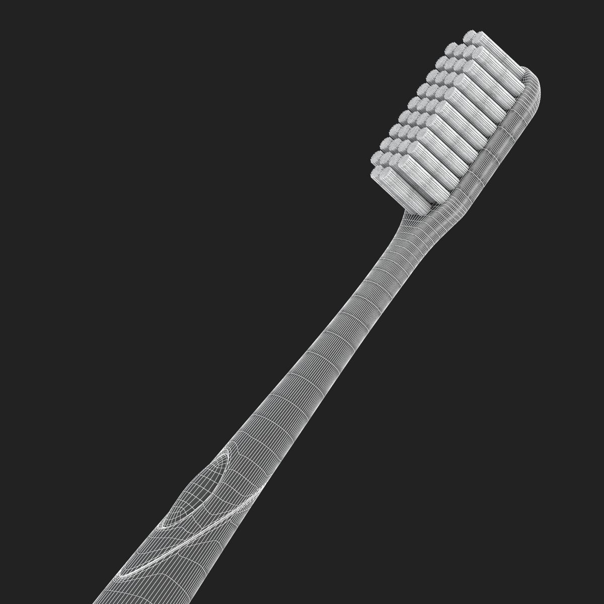 Toothbrush and Case 3D model_19
