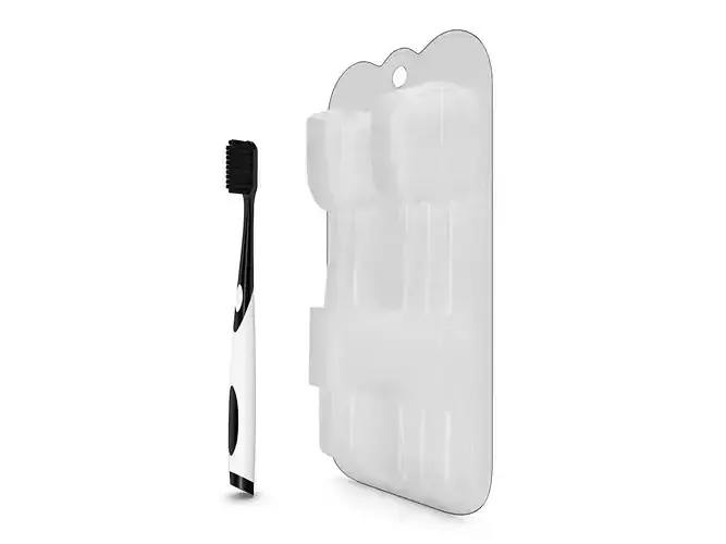 Toothbrush and Case 3D model