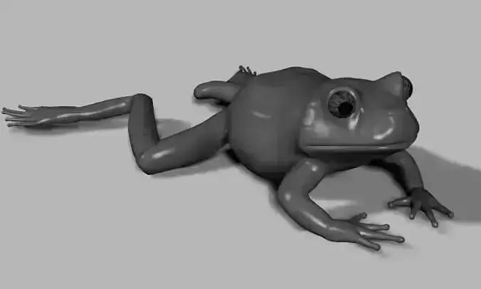 Frogs frog Low-poly 3D model