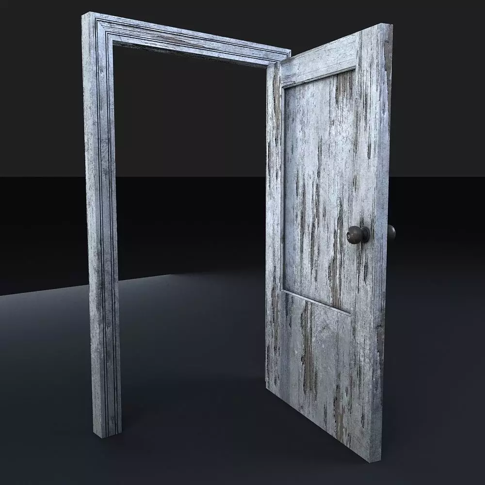 old door 3D model_0