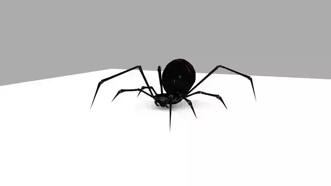 Black Widow Rigged and Walk Animation Low-poly 3D model