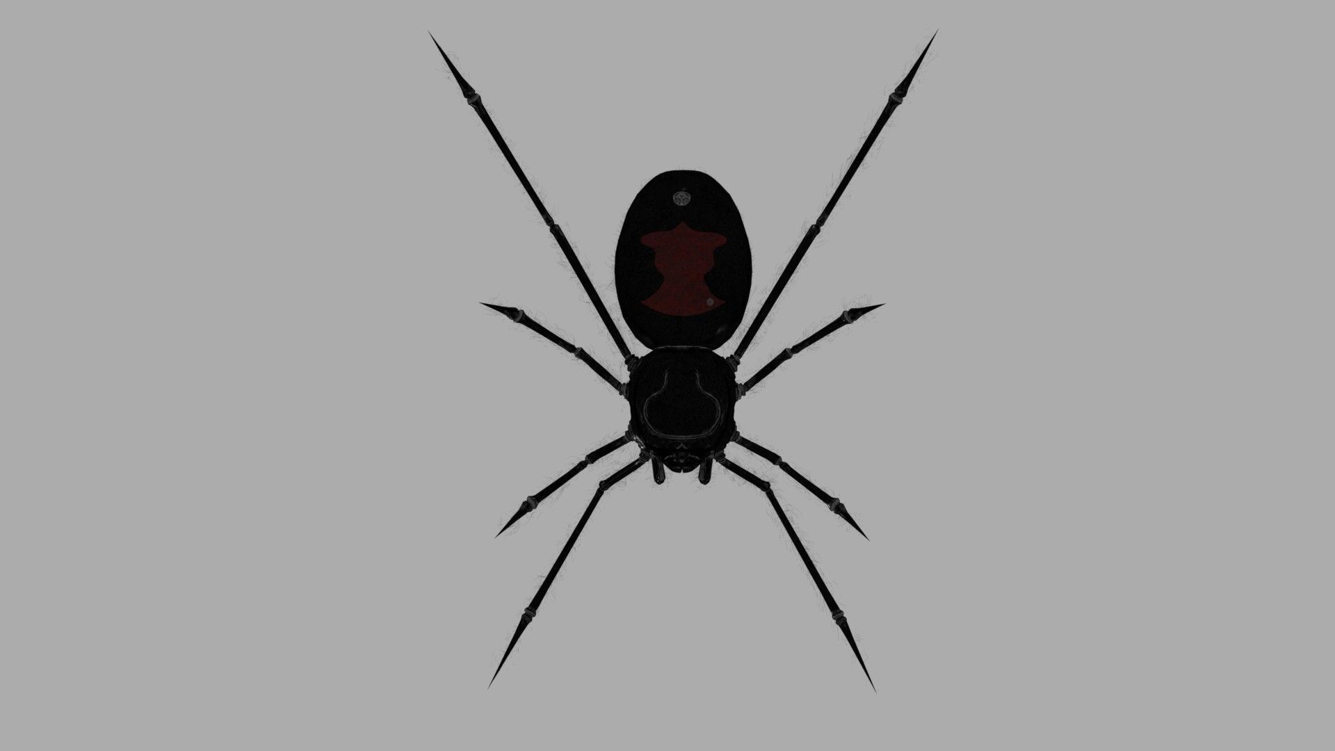 Black Widow Rigged and Walk Animation Low-poly 3D model_4