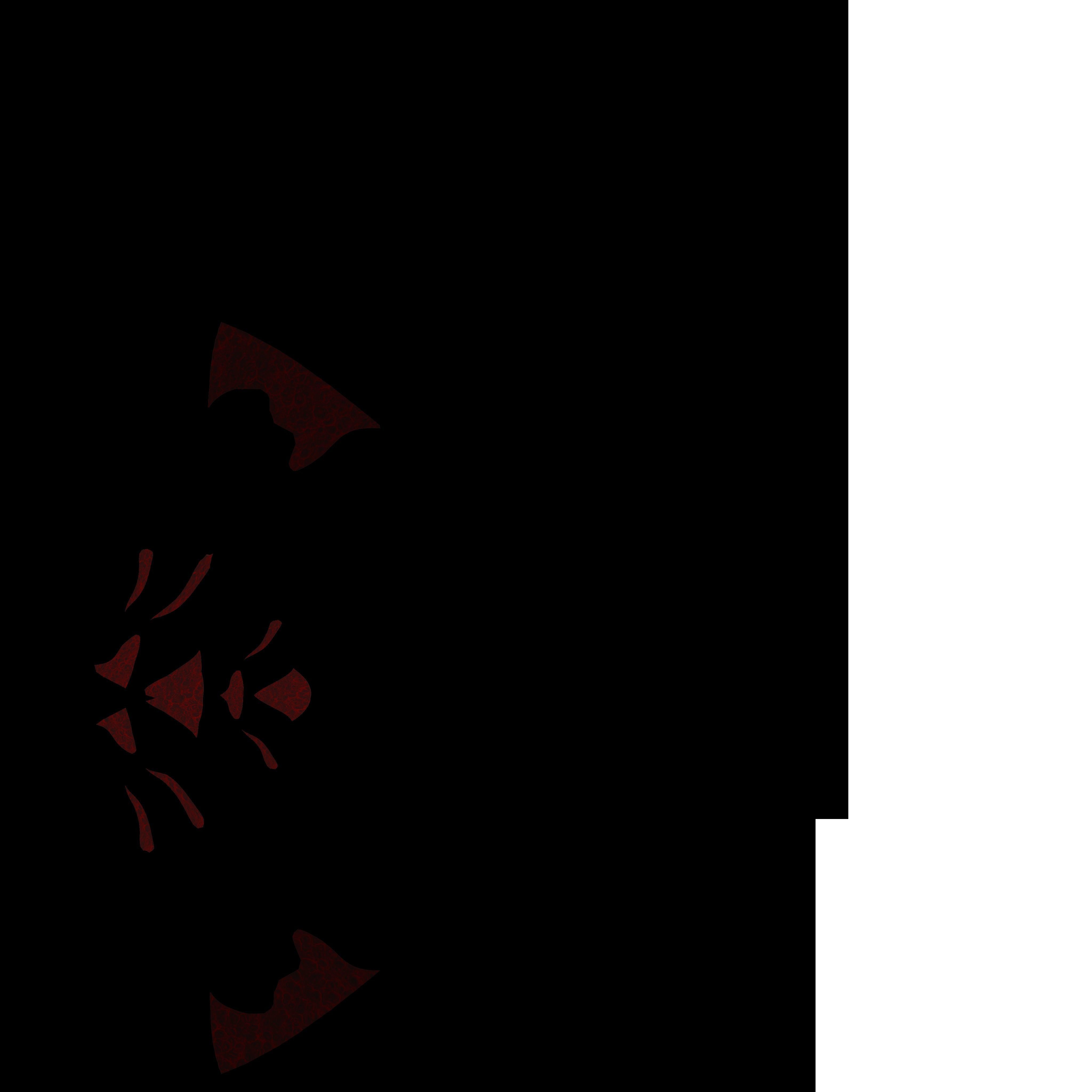 Black Widow Rigged and Walk Animation Low-poly 3D model_15