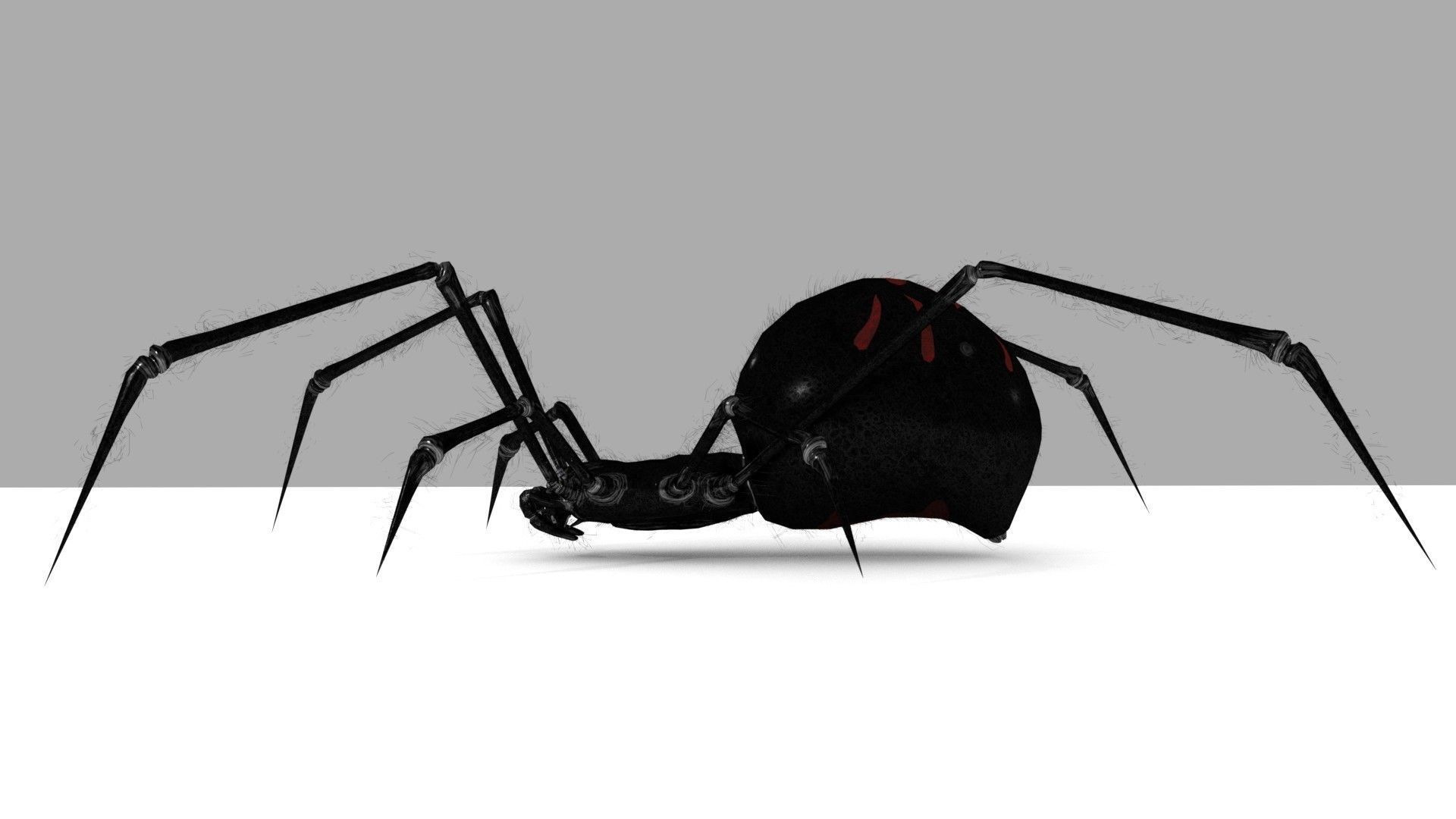 Black Widow Rigged and Walk Animation Low-poly 3D model_2