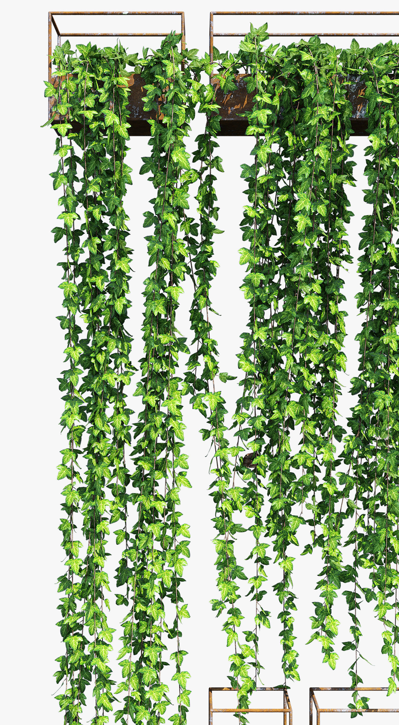 Planter box ivy 2 3D model_5