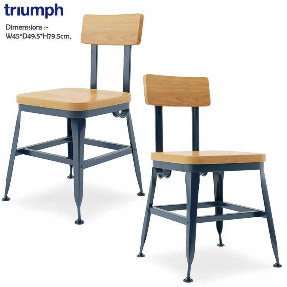 Triumph-Vintage Lyon Powder coated Dining Chair 3D model