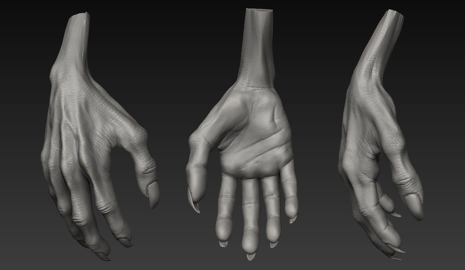 HandZ hand with claws and fingers 3D model_13
