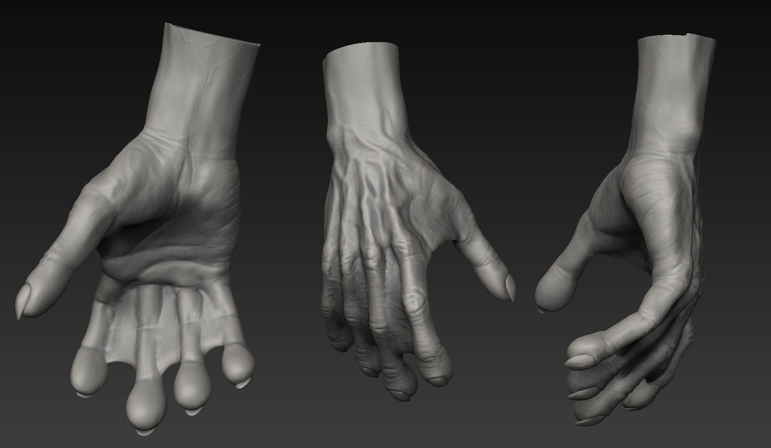 HandZ hand with claws and fingers 3D model_18