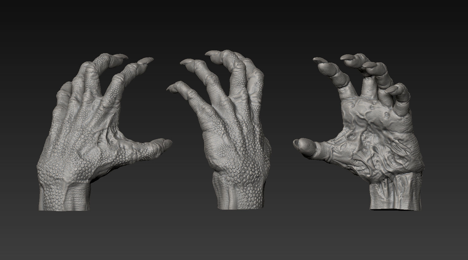 HandZ hand with claws and fingers 3D model_10