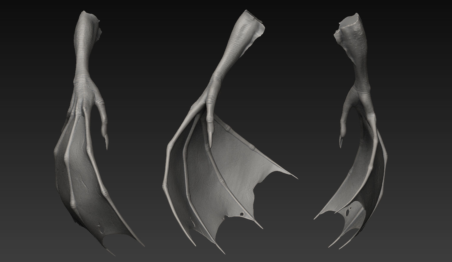 HandZ hand with claws and fingers 3D model_23