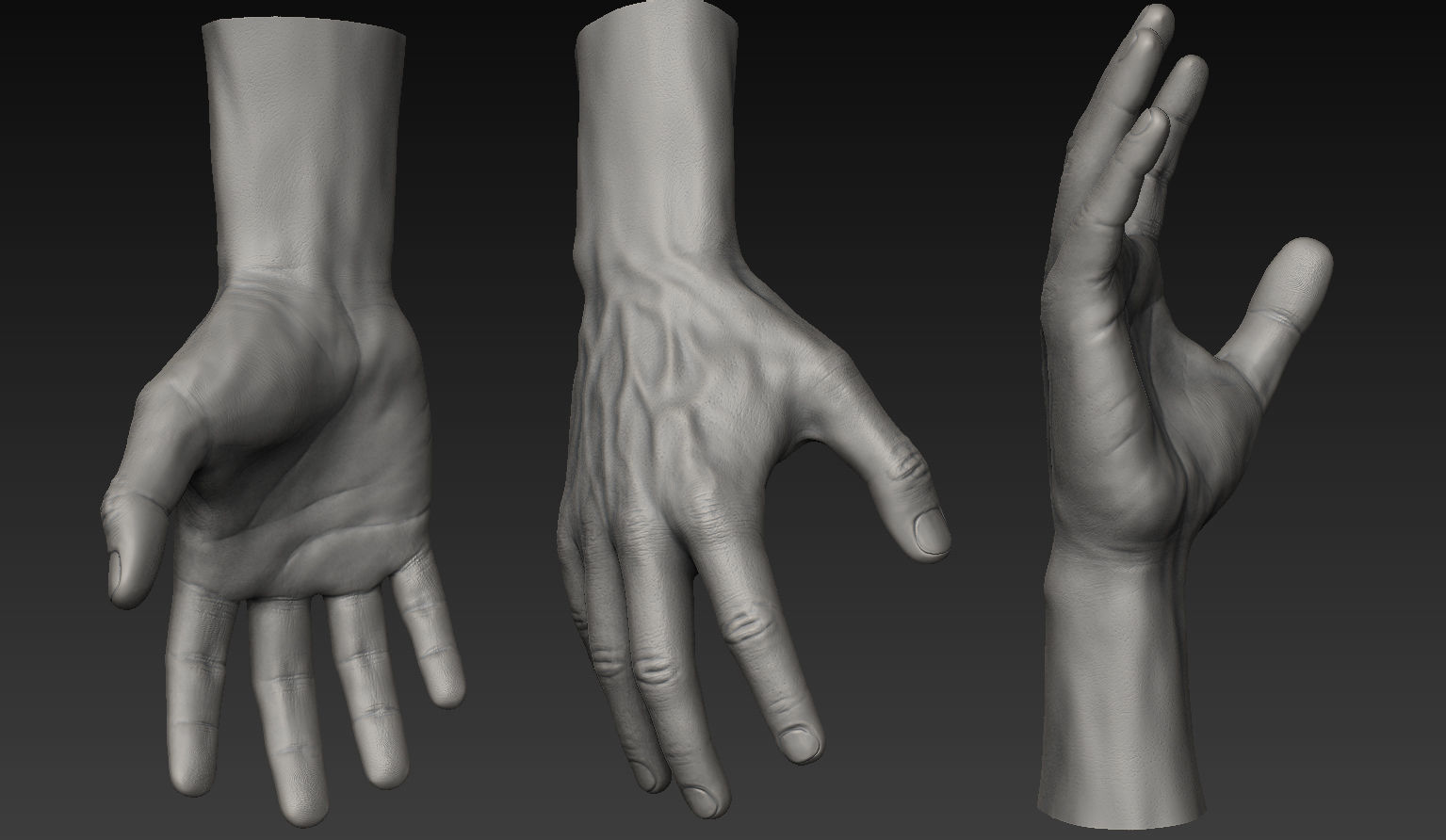 HandZ hand with claws and fingers 3D model_16