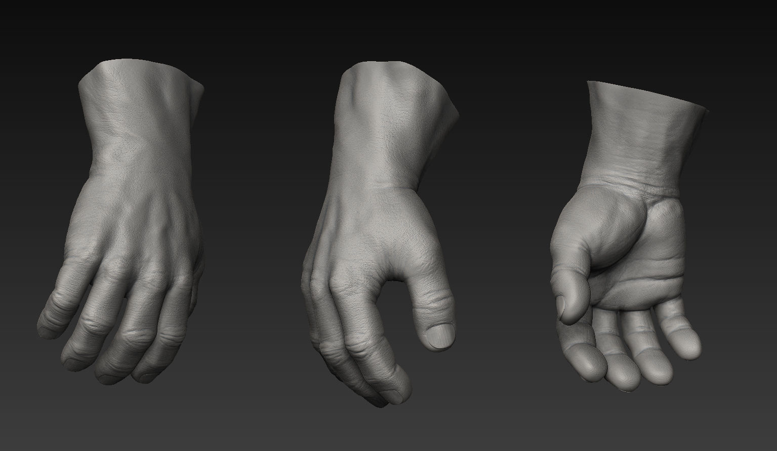 HandZ hand with claws and fingers 3D model_12