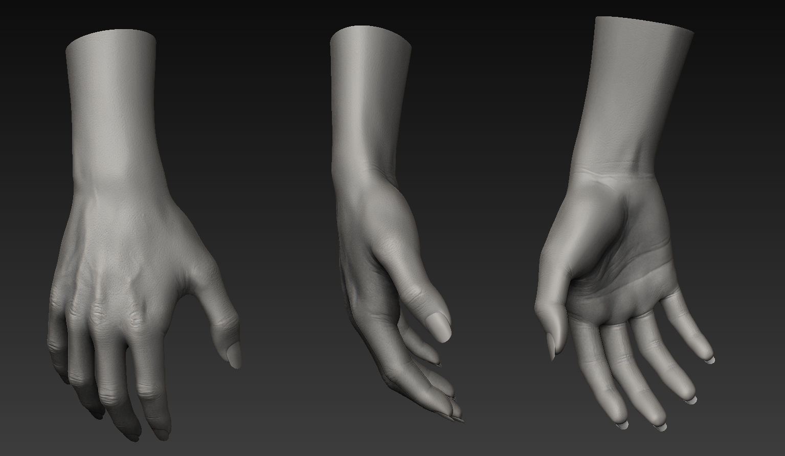 HandZ hand with claws and fingers 3D model_14