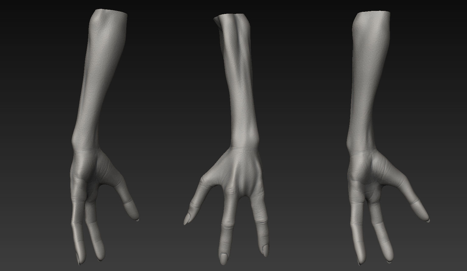 HandZ hand with claws and fingers 3D model_21