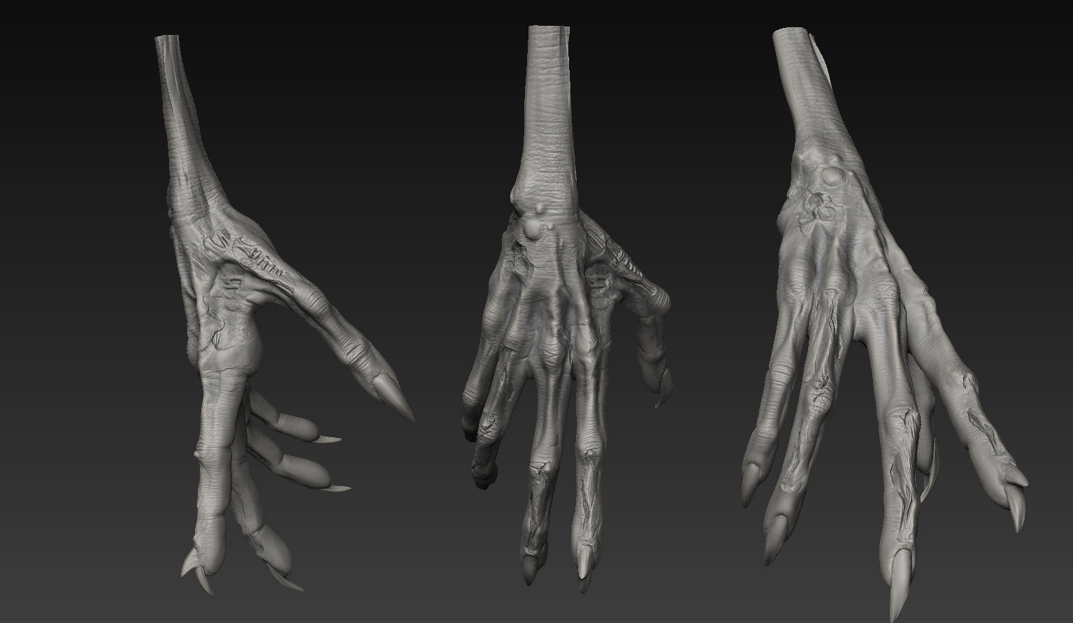 HandZ hand with claws and fingers 3D model_15