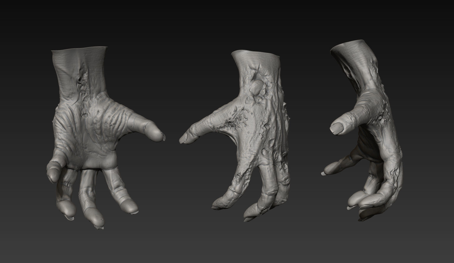 HandZ hand with claws and fingers 3D model_8