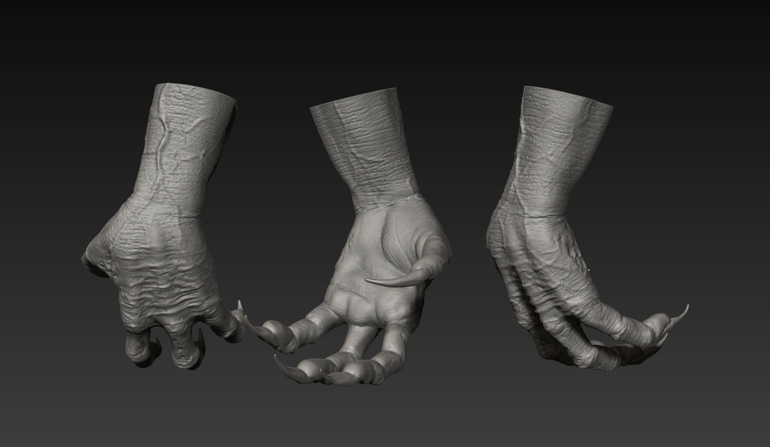 HandZ hand with claws and fingers 3D model_11