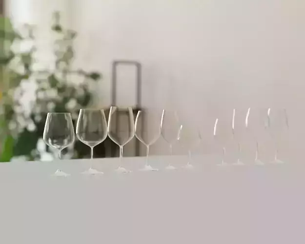 Wine Glass Collection - 10 Glasses Set
