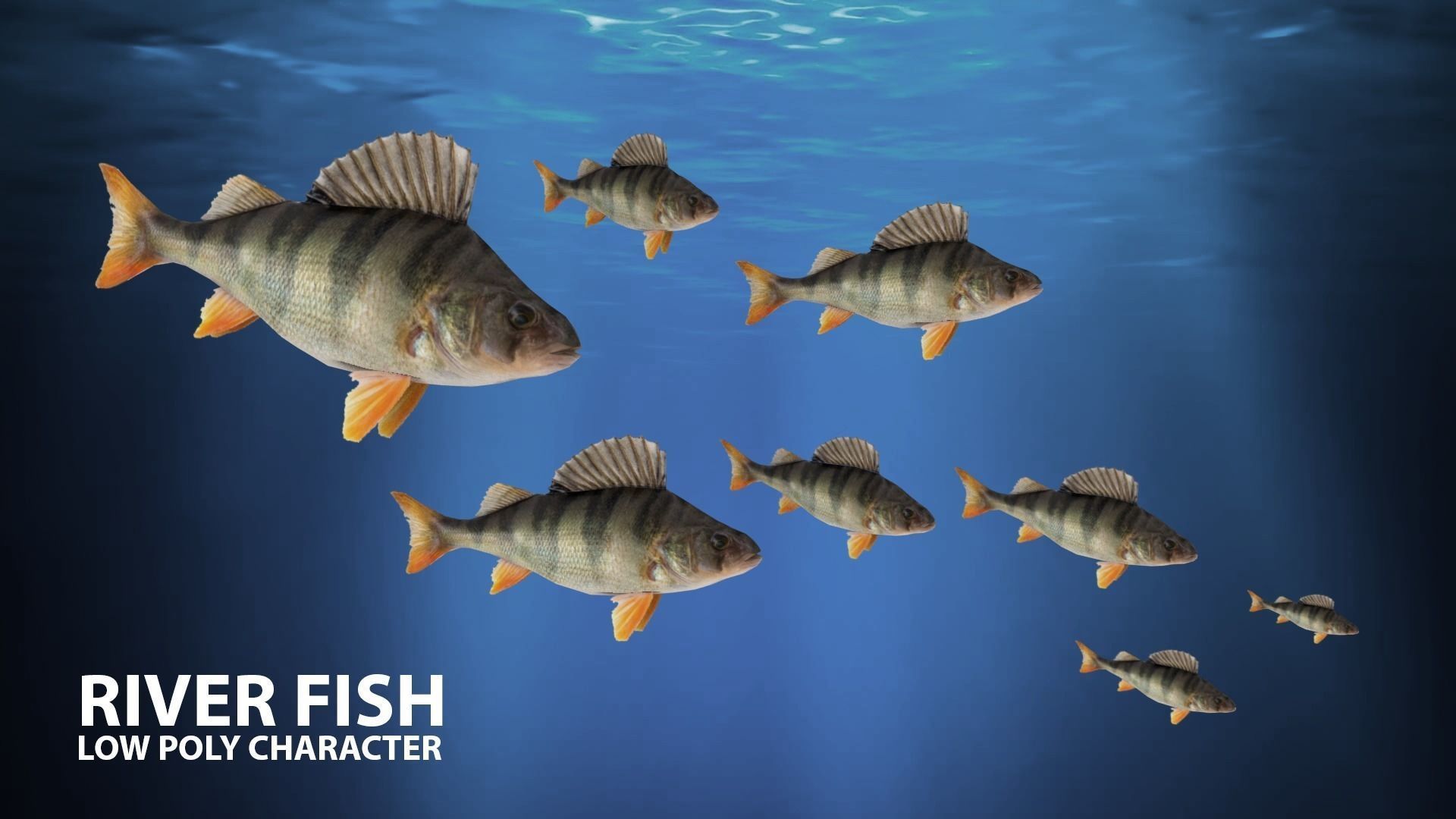 River fish Low-poly 3D model_6