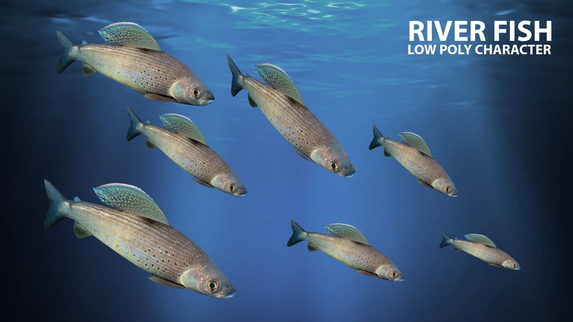 River fish Low-poly 3D model_4