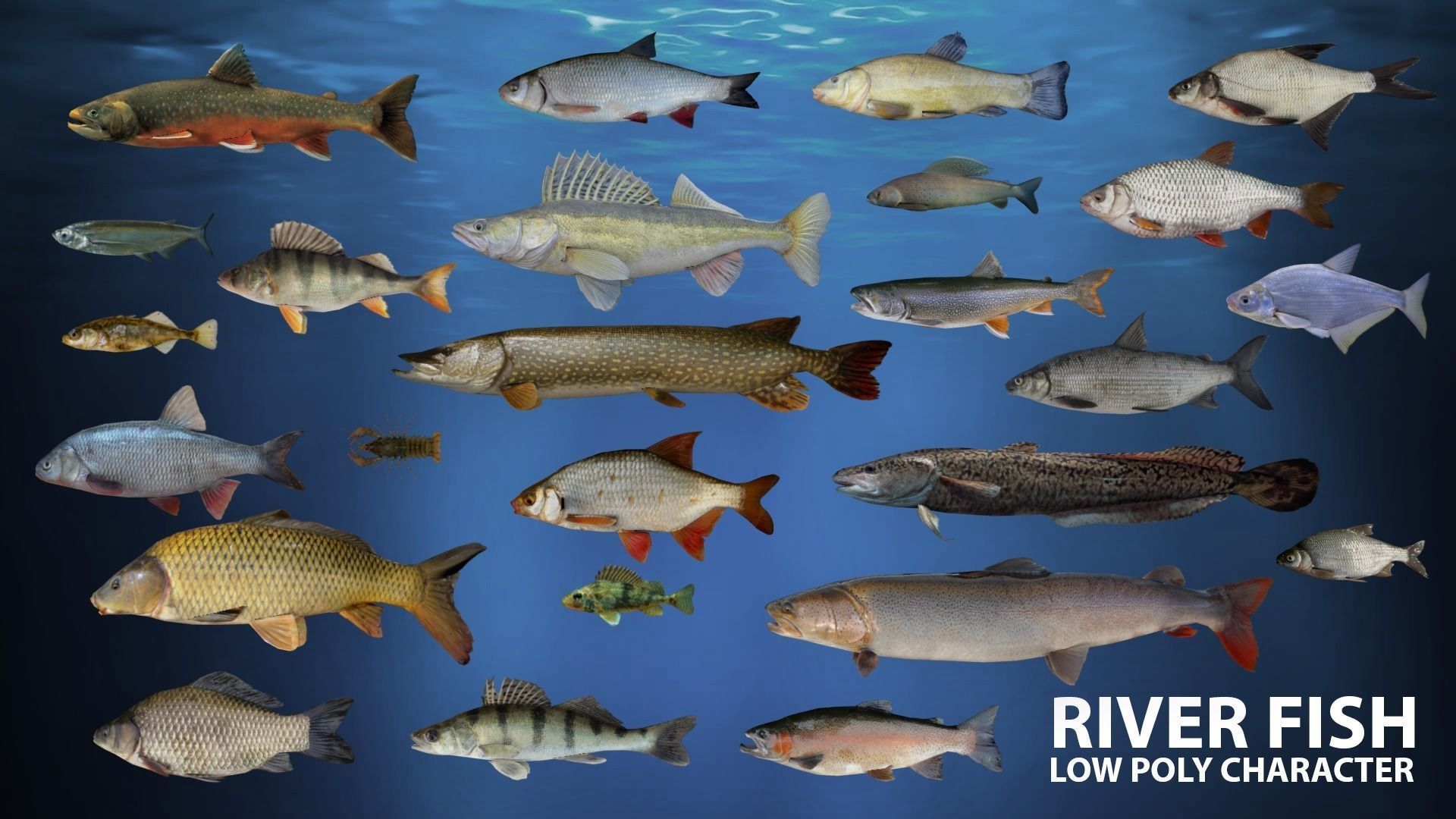 River fish Low-poly 3D model_0