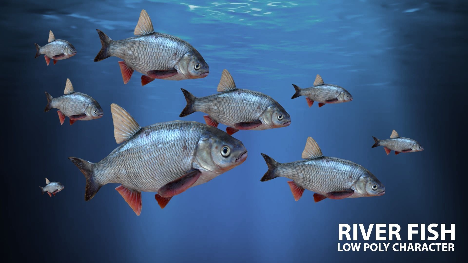 River fish Low-poly 3D model_3