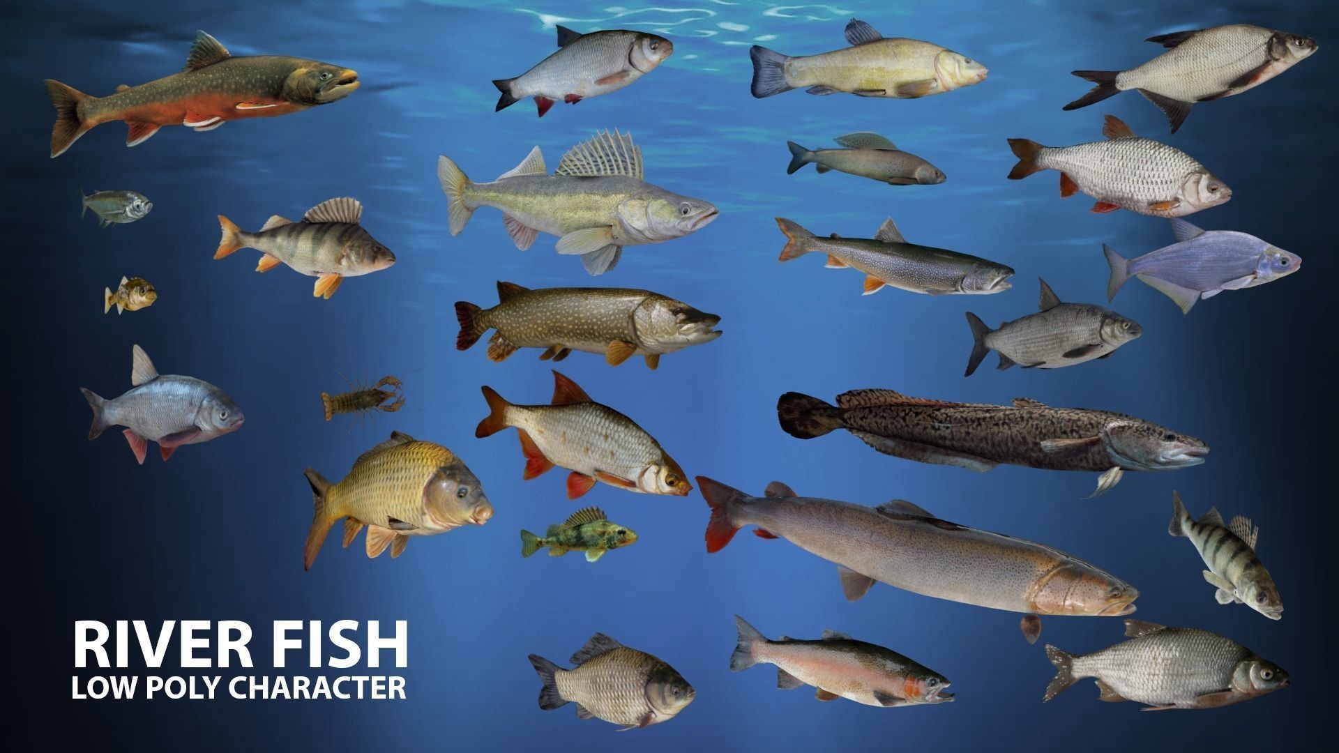 River fish Low-poly 3D model_5