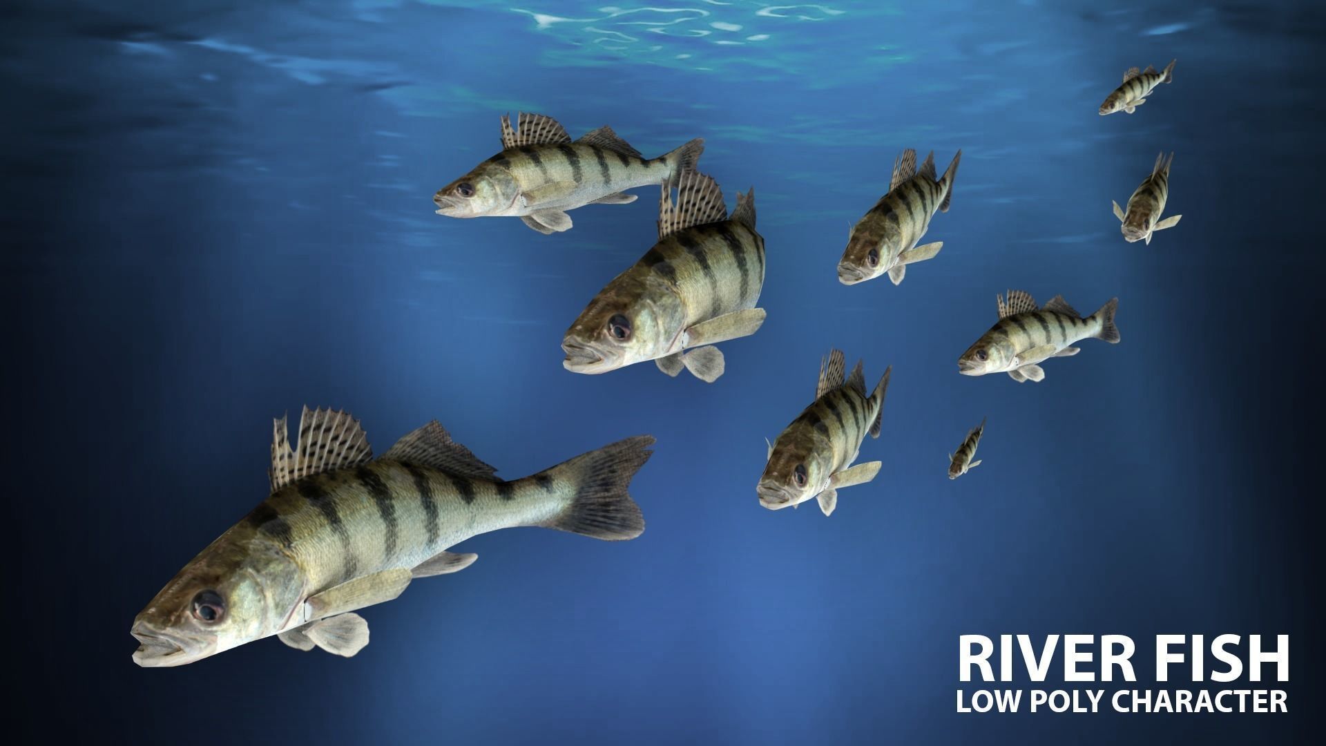River fish Low-poly 3D model_1