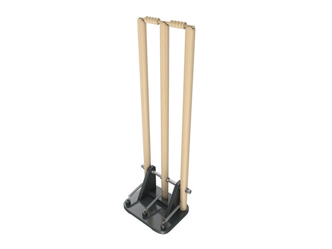 Cricket Wicket 3D model