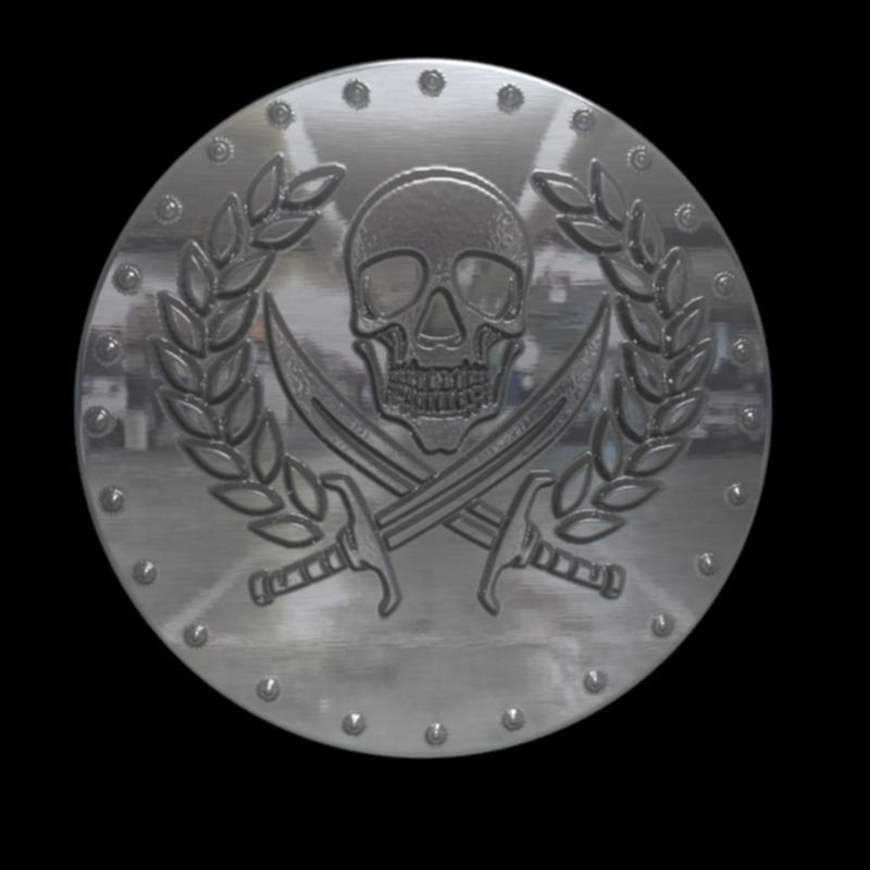 pirate coin 3D print model_2