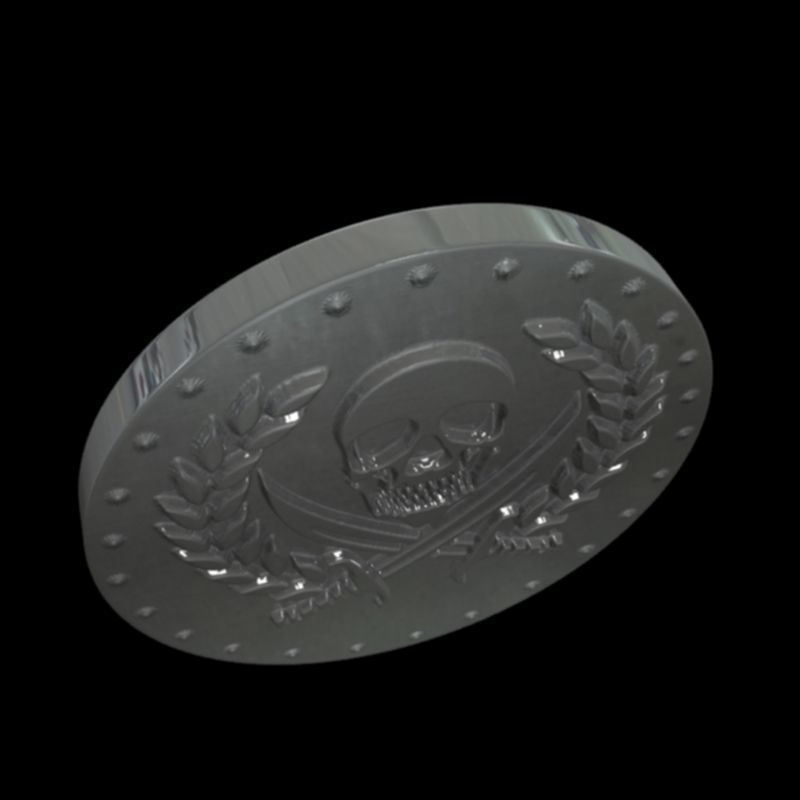 pirate coin 3D print model_3