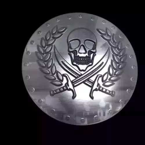 pirate coin 3D print model