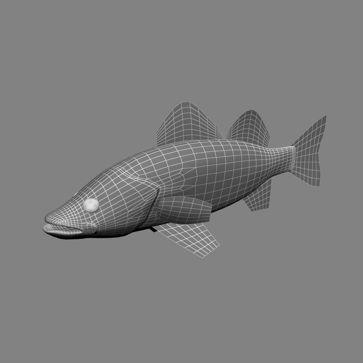 Zander bass fish Low-poly 3D model_3