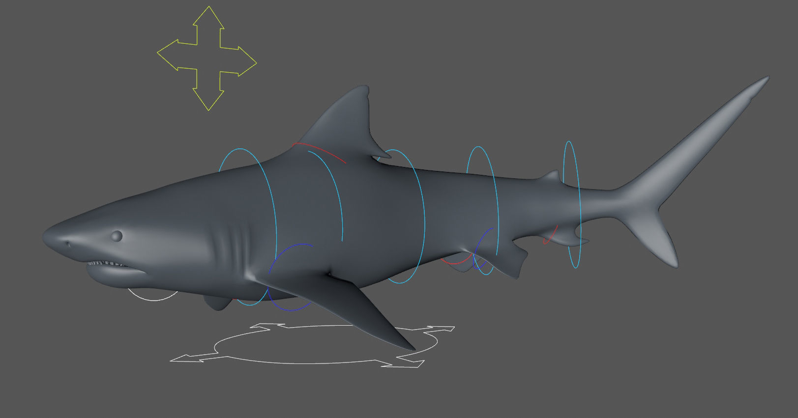 Tiger Shark Low-poly 3D model_6
