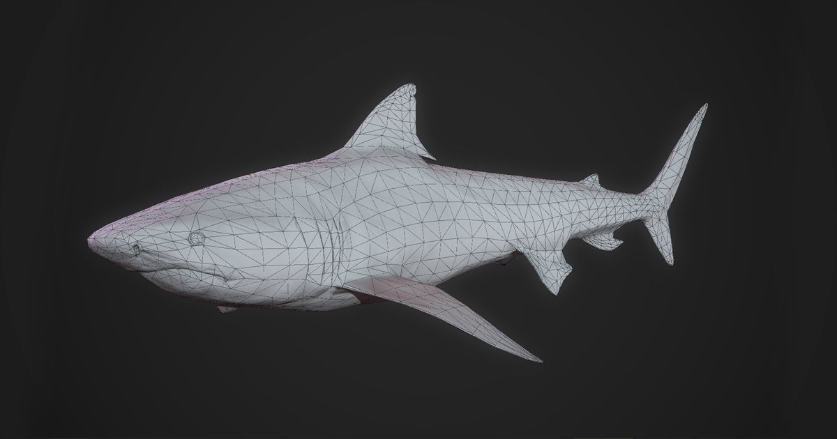 Tiger Shark Low-poly 3D model_10