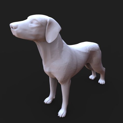 American Foxhound 3D print model