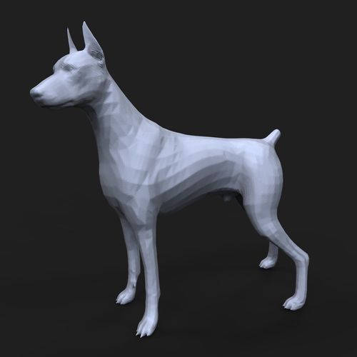 Doberman Pinscher cut tail 3D print model