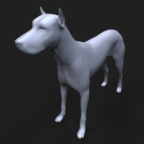 Doberman Pinscher 3D print model